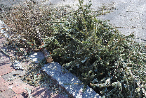 Christmas in February?
