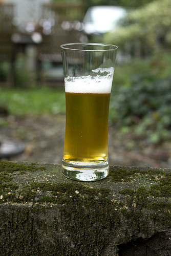 Beer Glass by Schott Zwiesel