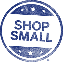 small biz sat logo