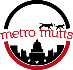 Metro Mutts