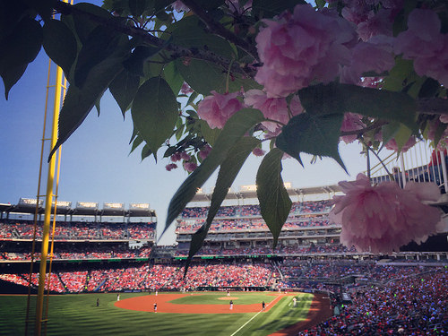 Beautiful afternoon for baseball in DC