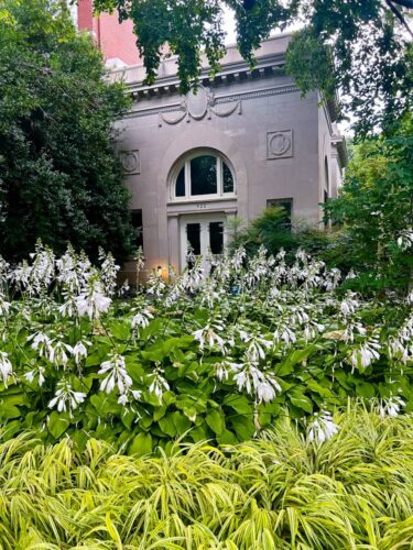 A stately home on Capitol Hill with a front yard filled with hostas. Photo by Maria Helena Carey.